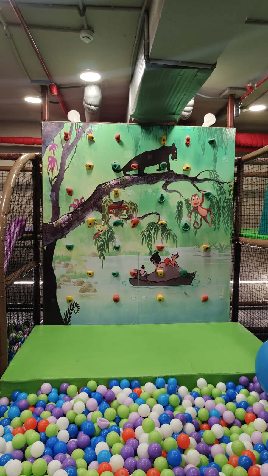 Wall Climbing